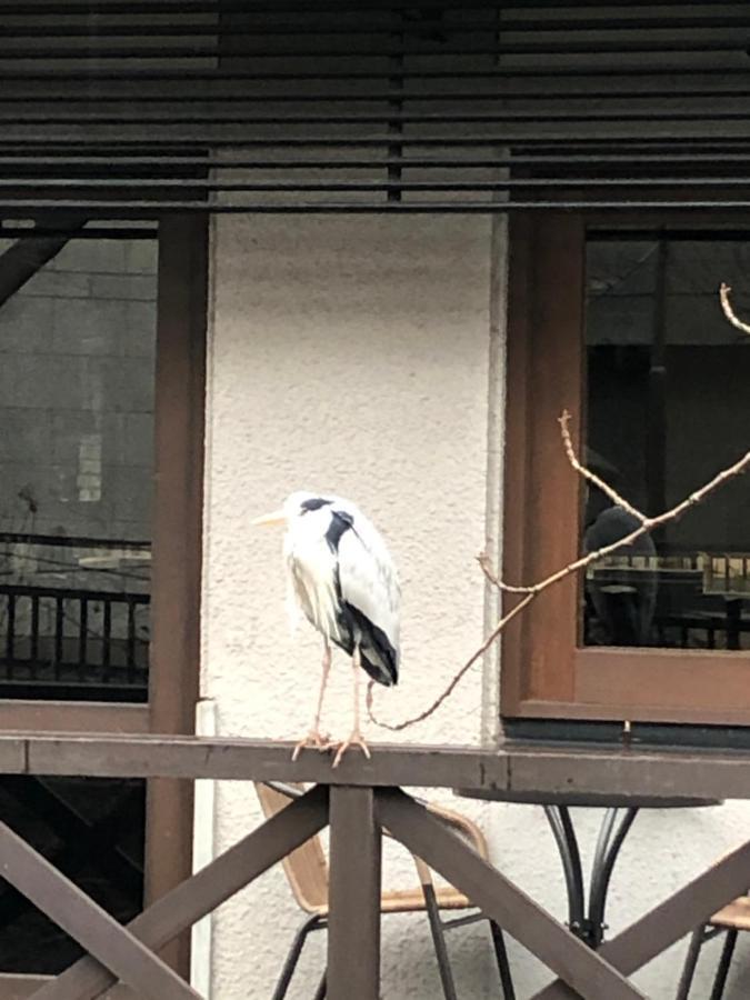 Cozy House 31, Free Wifi A Rented Electric Bicycle 公寓 京都
